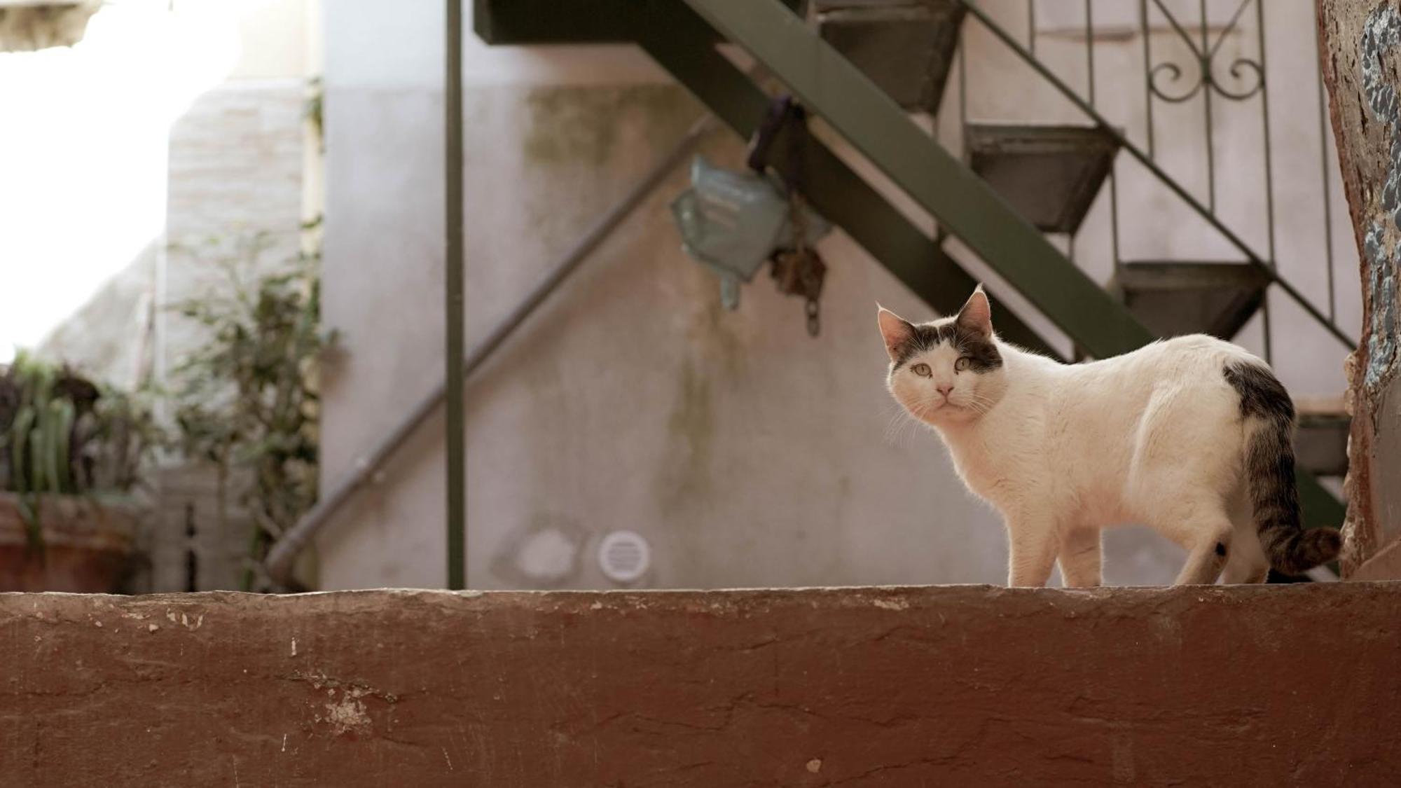 דירות צ'טארה Casa Nel Borgo Dei Gatti מראה חיצוני תמונה